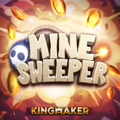 Minesweeper icon with mine and flag